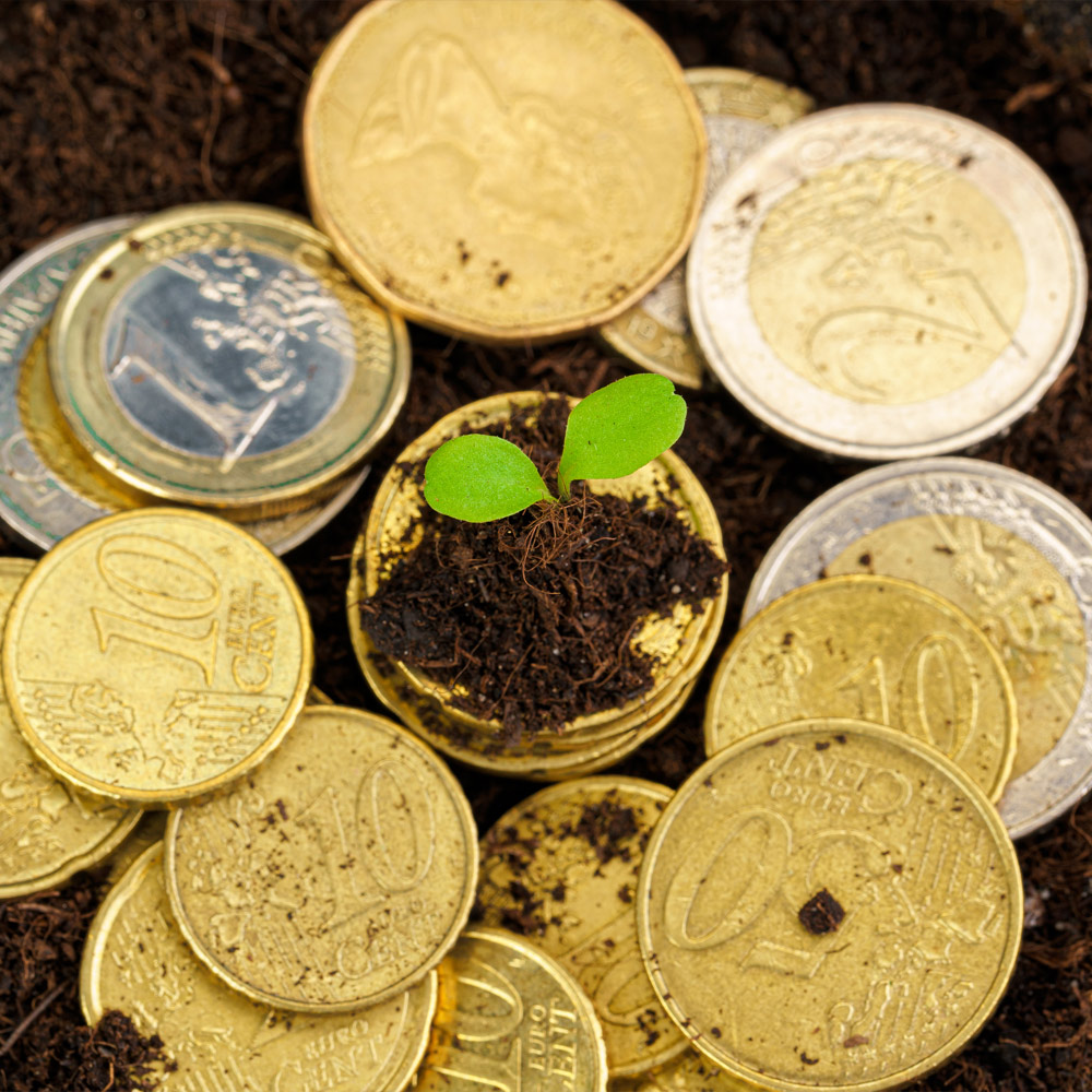 Producto de prueba HP